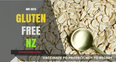 Are Oats Gluten-Free in NZ? A Comprehensive Guide for Kiwis