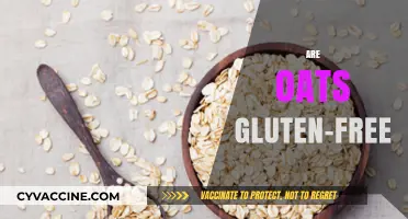 Are Oats Gluten-Free? Unraveling the Truth for Celiac Diets