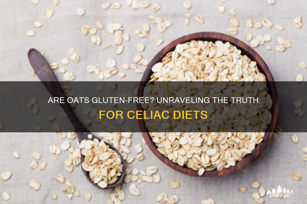 are oats gluten-free