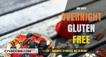 Are Oats Overnight Gluten-Free? A Complete Guide to Safe Options
