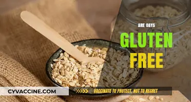 Are Oats Gluten-Free? Understanding Their Safety for Celiac Diets