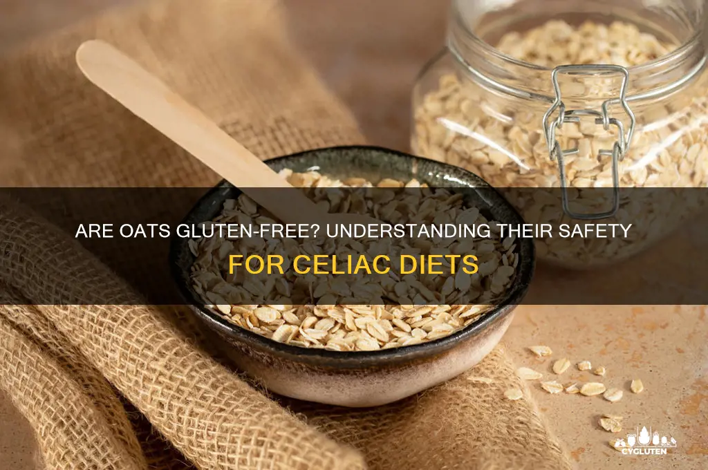 are oays gluten free