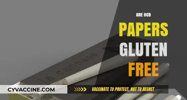 Are OCB Papers Gluten-Free? A Comprehensive Guide for Smokers