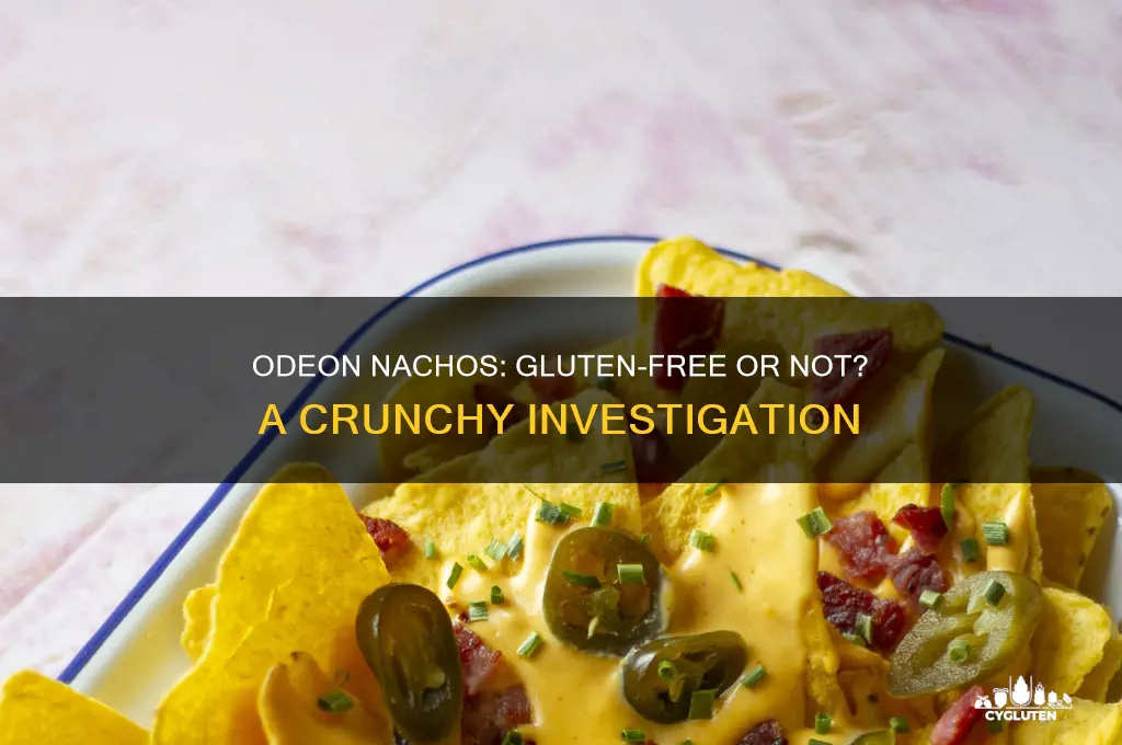 are odeon nachos gluten free