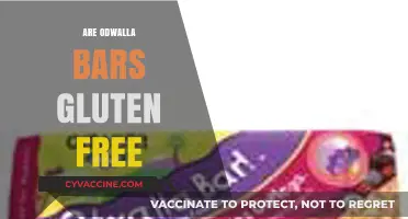 Are Odwalla Bars Gluten-Free? A Complete Guide for Celiac Diets