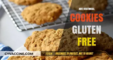 Are Oatmeal Cookies Gluten-Free? Unraveling the Truth for Dietary Needs