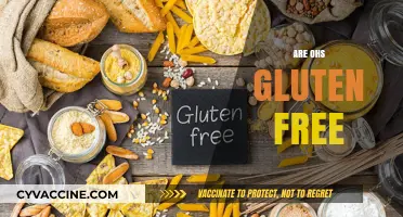 Are OHS Gluten Free? Unraveling the Snack Mystery