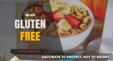 Are Oh's Cereal Gluten-Free? A Complete Guide for Celiacs