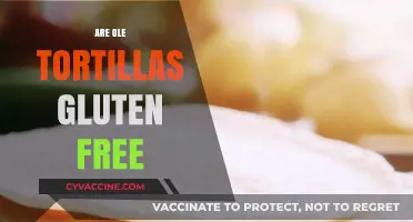 Are Old Tortillas Gluten-Free? A Comprehensive Guide to Safe Eating