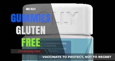 Are Olly Gummies Gluten-Free? A Complete Guide to Ingredients