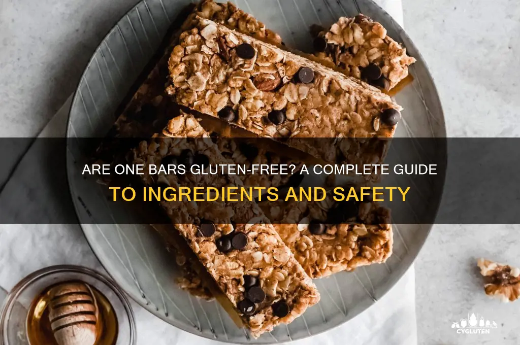 are one bars gluten free