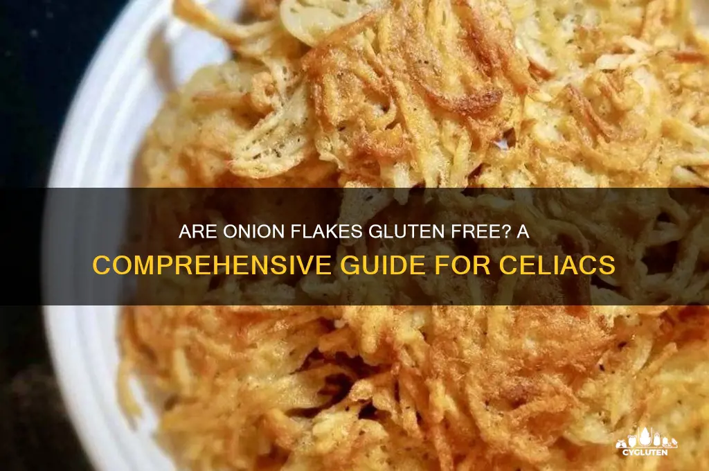 are onion flakes gluten free