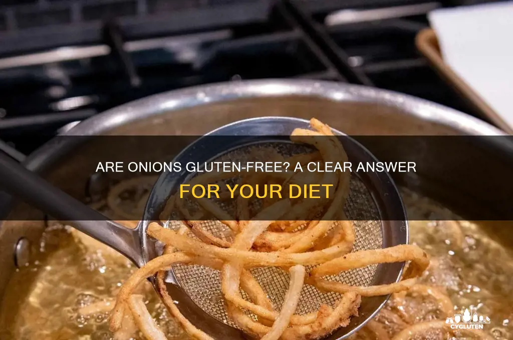 are onion gluten free