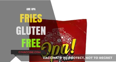 Are Opa Fries Gluten-Free? A Complete Guide for Celiac Diners