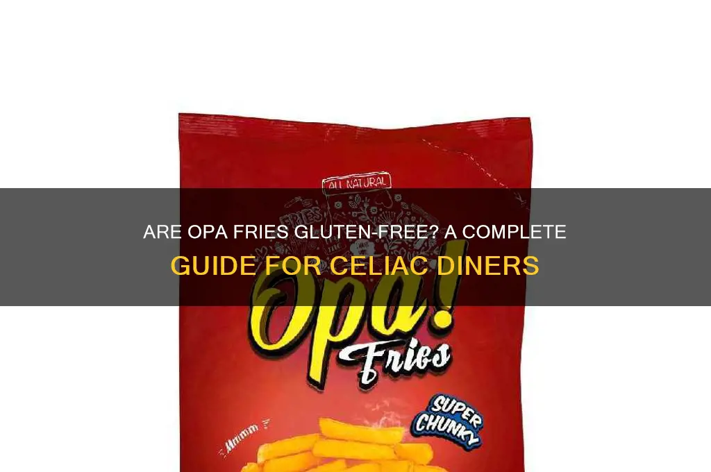 are opa fries gluten free