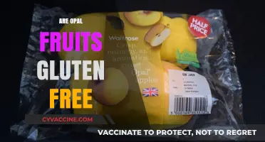Are Opal Fruits Gluten-Free? A Sweet and Simple Answer