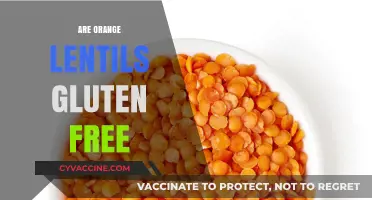 Are Orange Lentils Gluten-Free? A Clear and Simple Answer