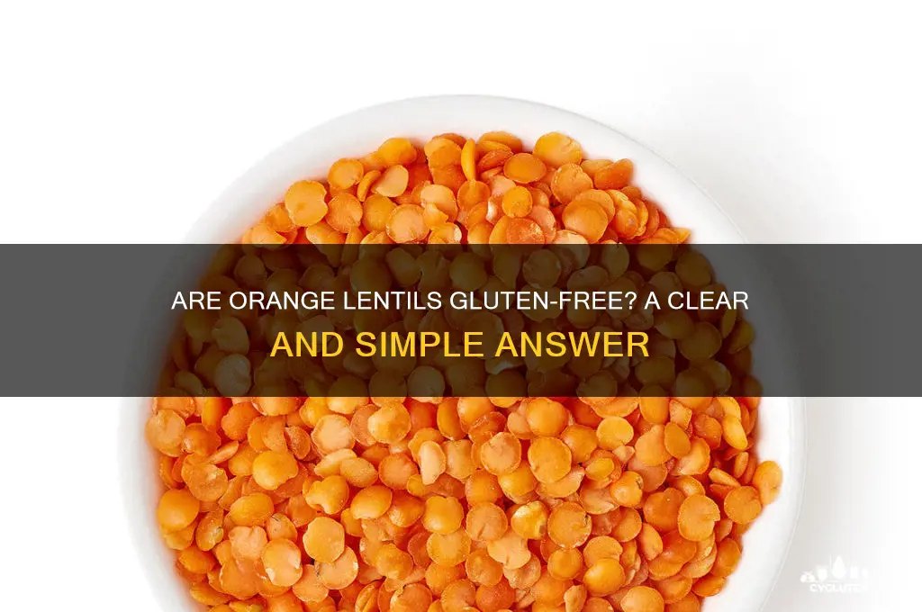 are orange lentils gluten free