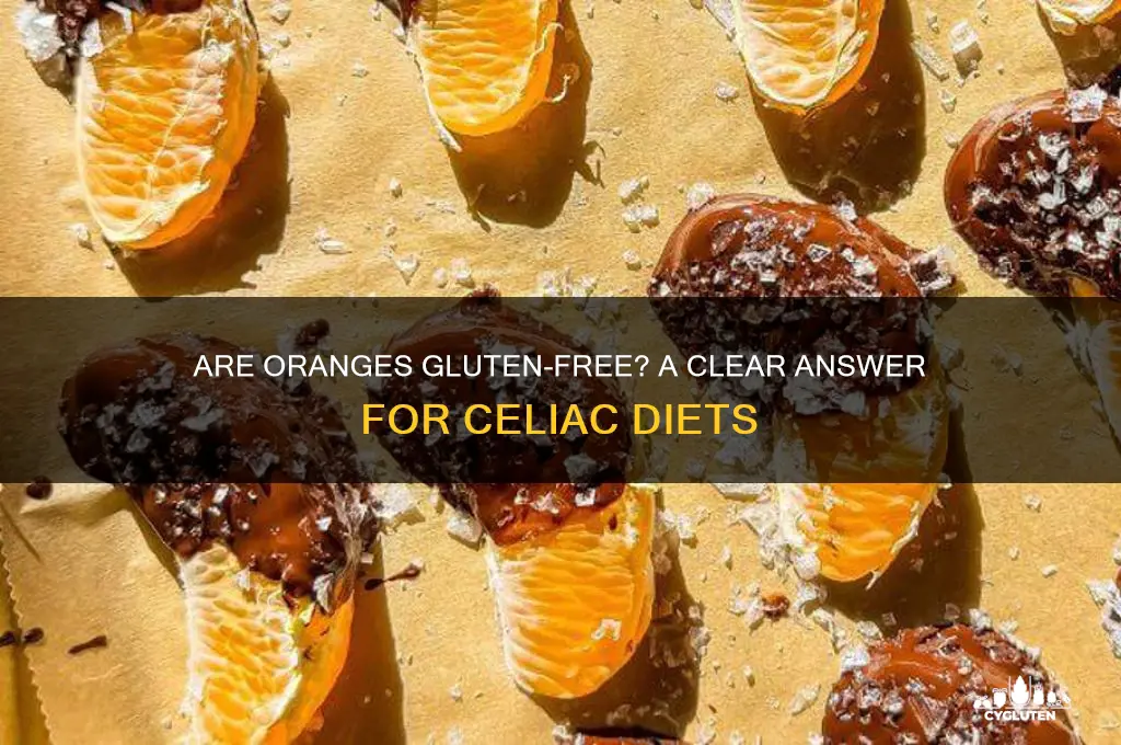 are oranges gluten free