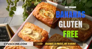 Are Organic Bananas Gluten-Free? Unraveling the Facts for a Healthy Diet