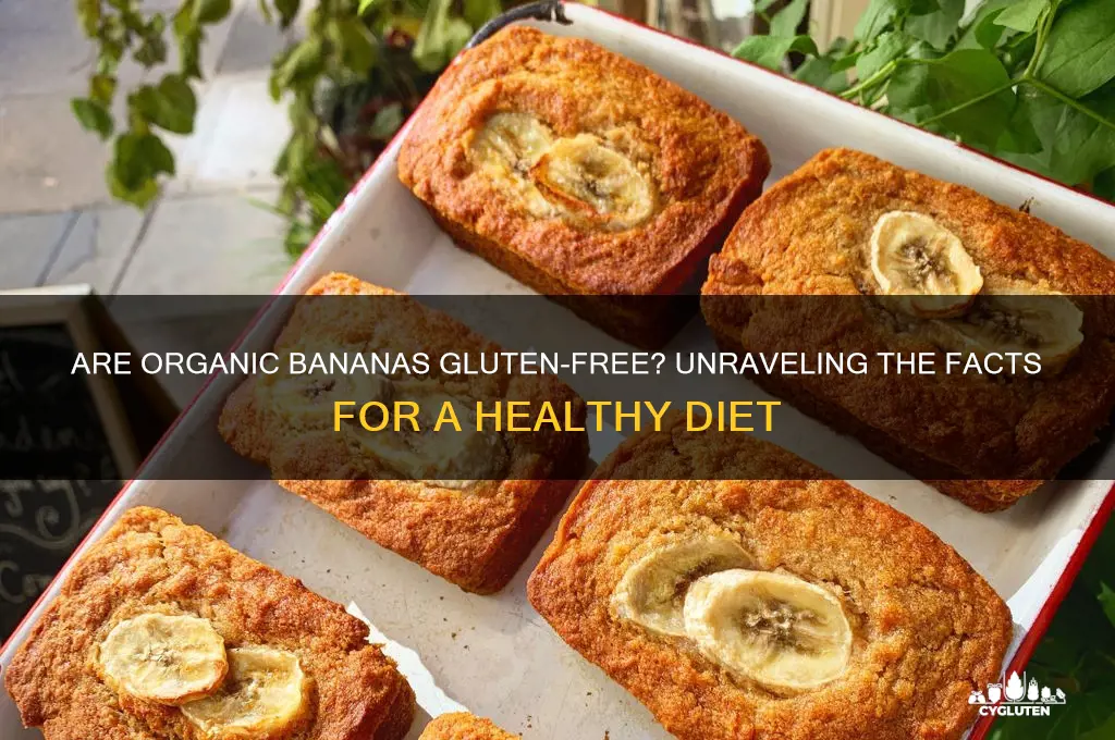 are organic bananas gluten free