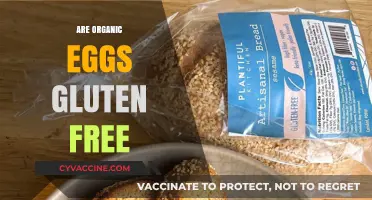 Are Organic Eggs Gluten-Free? Unraveling the Facts for a Healthy Diet