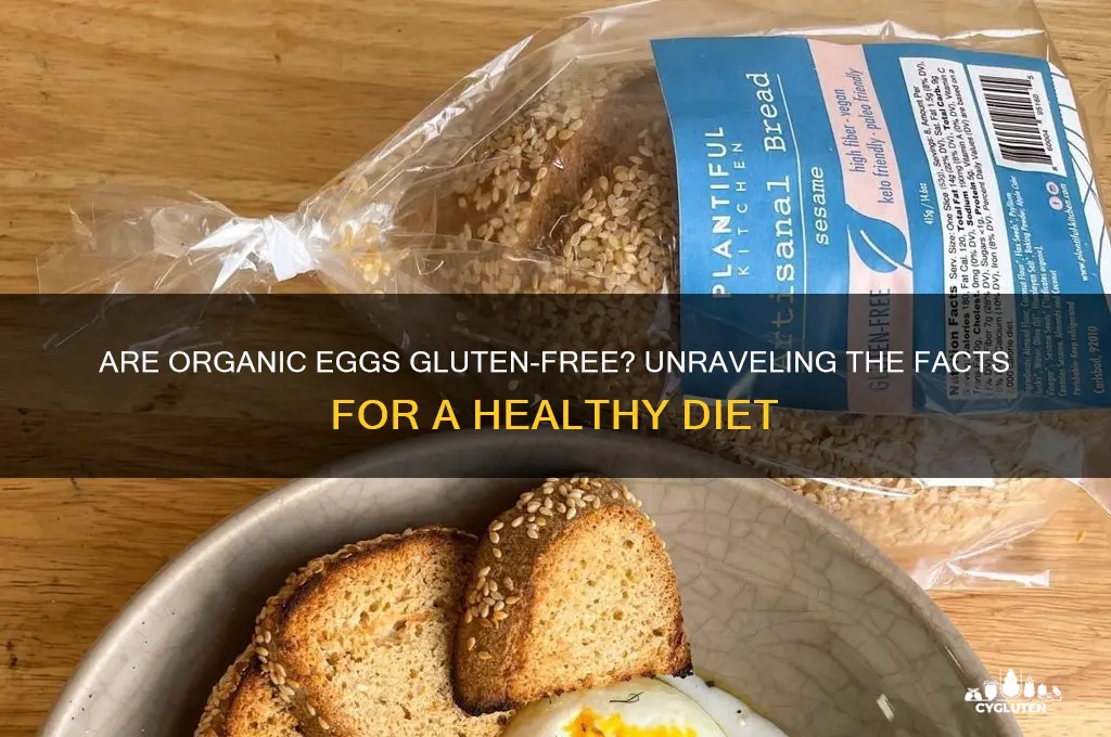 are organic eggs gluten free