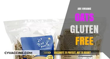 Are Organic Oats Gluten-Free? Unraveling the Truth for Celiacs