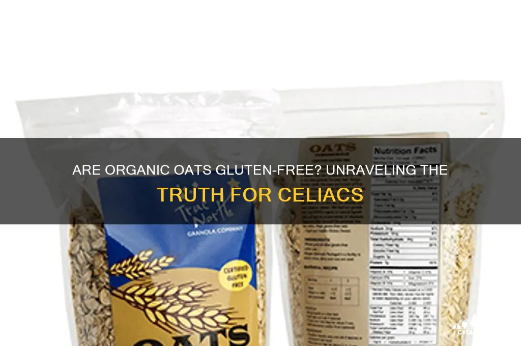 are organic oats gluten free