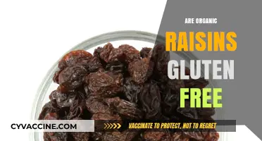 Are Organic Raisins Gluten-Free? A Clear Answer for Your Diet