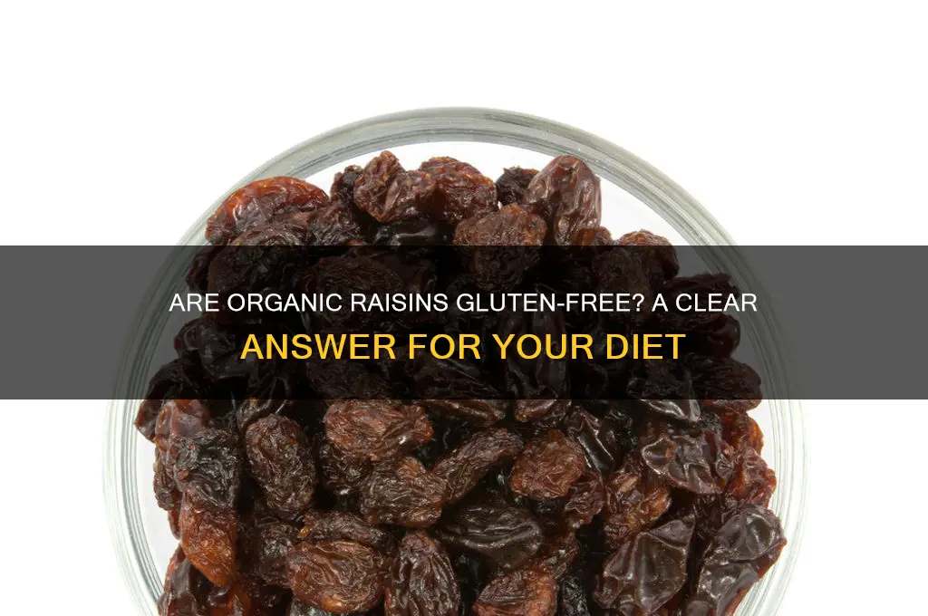 are organic raisins gluten free