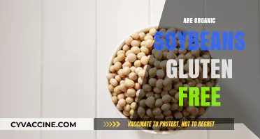 Are Organic Soybeans Gluten-Free? A Comprehensive Guide to Soy Safety