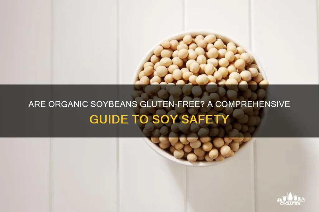 are organic soybeans gluten free