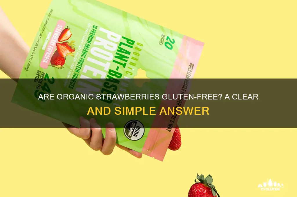 are organic strawberries gluten free