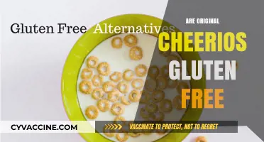 Are Original Cheerios Gluten-Free? Uncovering the Truth for Celiac Diets
