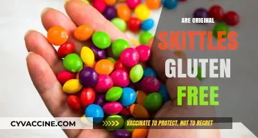 Are Original Skittles Gluten-Free? A Sweet Fact Check