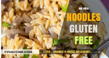 Are Orzo Noodles Gluten-Free? A Complete Guide for Celiac Diets