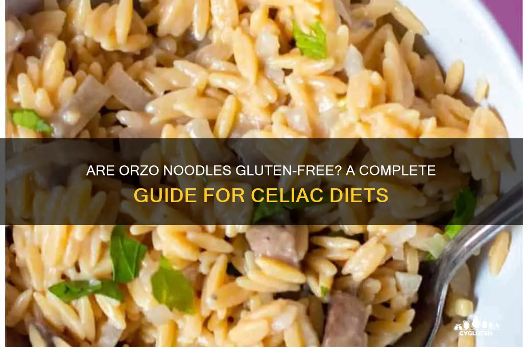 are orzo noodles gluten free