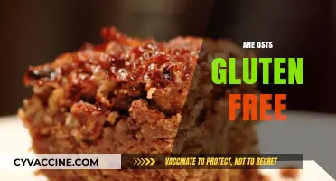 Are Oats Gluten-Free? Unraveling the Truth for Celiac Diets