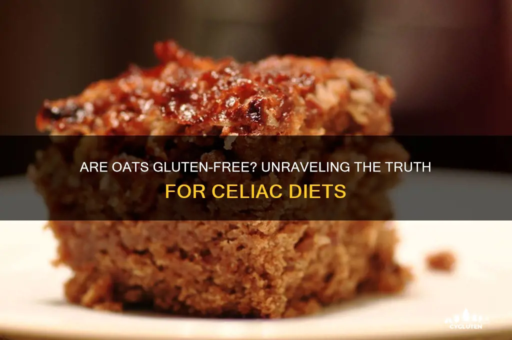 are osts gluten free