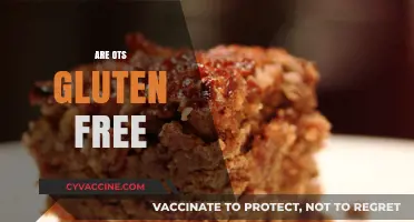 Are Oats Gluten-Free? Unraveling the Truth for Celiac Diets