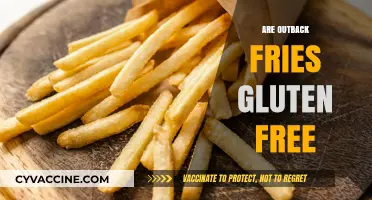 Are Outback Fries Gluten-Free? A Complete Guide for Celiac Diners