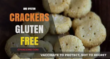 Are Oyster Crackers Gluten-Free? A Complete Guide for Snack Lovers