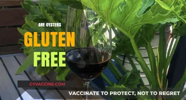 Are Oysters Gluten-Free? A Seafood Lover's Guide to Safe Eating