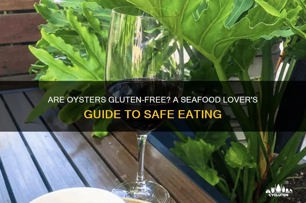are oysters gluten free