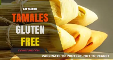 Are Padrino Tamales Gluten-Free? A Complete Guide for Foodies