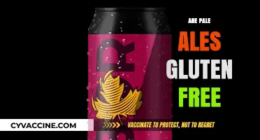 Pale Ales and Gluten: Unraveling the Truth for Celiac Drinkers