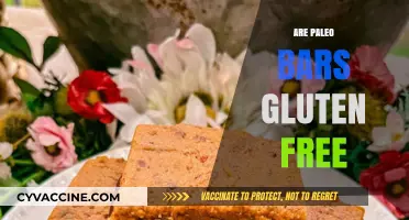 Are Paleo Bars Gluten-Free? A Comprehensive Guide to Ingredients