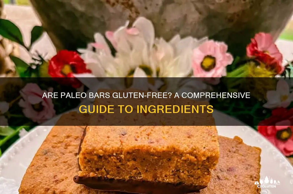 are paleo bars gluten free
