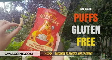 Are Paleo Puffs Gluten-Free? A Comprehensive Guide to Ingredients